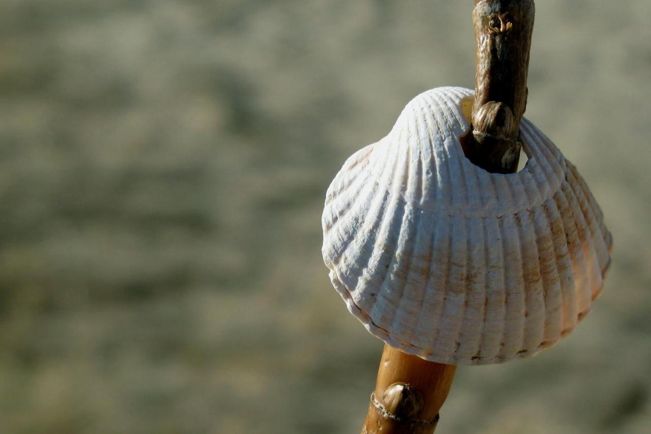 Haus Am Meer Scharbeutz Kültér fotó